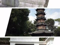 -上海佘山国家森林公园西佘山园