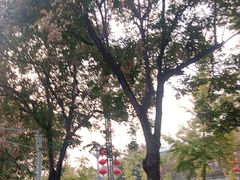 -一记洛阳菜·糖醋小排·水席(十字街店)