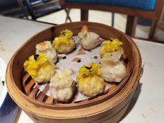 -点都德·毕德寮