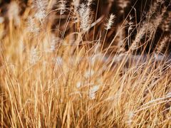 -上海山野camping·户外天幕烧烤·团建拓展营地