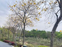 -琅岐红光湖公园