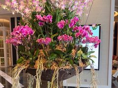 -新加坡文华东方酒店