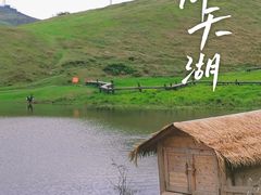 -仰天湖大草原
