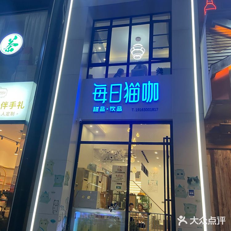猫咖