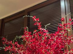 -北方家宴(番禺永旺店)