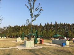 -上海长兴岛郊野公园