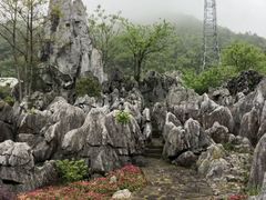 -千岛湖石林