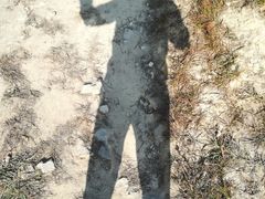 -黄埔油麻山森林公园