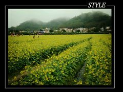 -红山村