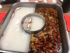 全鱼宴锅-新辣道鱼火锅(世纪金源购物中心店)