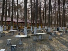 -渌洋湖湿地公园