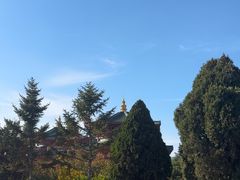 -龙口南山旅游景区