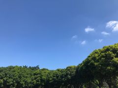 -金砂公园