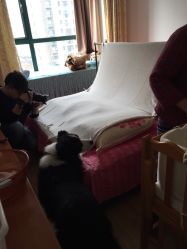 点击看大图 -西瓜庄园儿童摄影