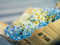 -循礼门鲜花花市(武汉循礼门店)