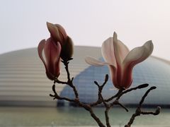 -国家大剧院-停车场