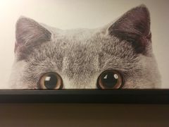 -吃饼人西餐(南开店)