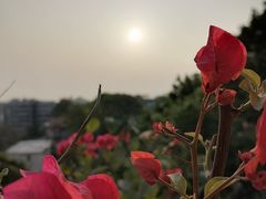 -鸿山公园