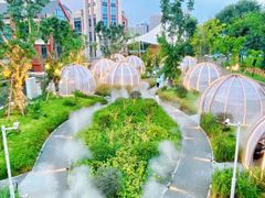 -悦见花开·花园里的火锅·露营·下午茶