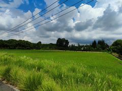 -嘉北郊野公园