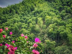 -将军关探险漂流