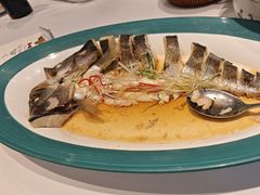 -海派美食·家宴海鲜青岛菜·石锅鲽鱼头(东方城店)