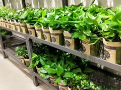 -鹿岛会员店 (龙湖三千集天街店)