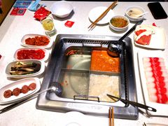 -海底捞大排档火锅(打浦路店)