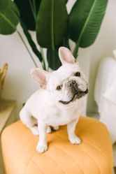 -ZOO KIDS象集摄影工作室(西城公馆店)