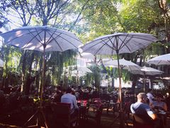 -Fern Forest Cafe