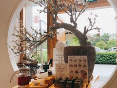 -不凡脑禅境·养生·舒压调理SPA(华发世纪城店)
