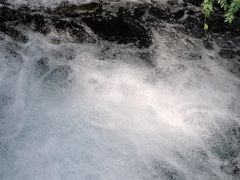 -百脉泉景区