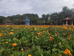 -广州市流溪河国家森林公园