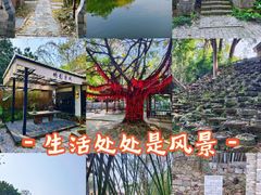 -老木棉·匠园