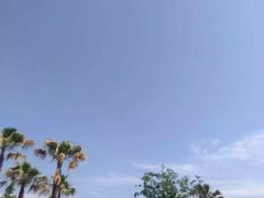 -金沙湖公园