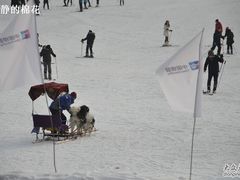 -长春莲花山滑雪场