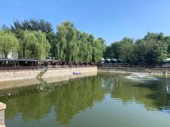-尚庄度假村·庭台树下·户外烧烤·团建CS·轰趴营地(上庄水库店)