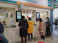 -龙阳路磁悬浮列车总站-停车场