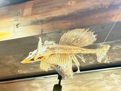 -札幌二条市场 大矶(本店)