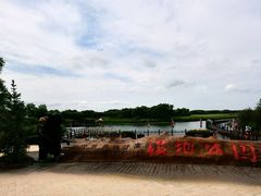 -黑瞎子岛探秘野熊园