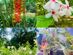 -中国科学院西双版纳热带植物园