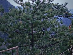 -大连天门山国家森林公园