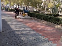 -国家动漫园