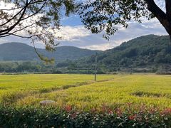 -南北湖风景区