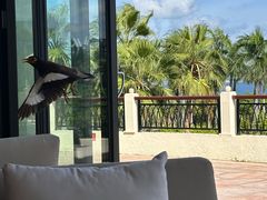 -大堂酒廊·亚龙湾万豪度假酒店