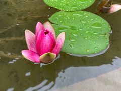 -新竹里馆·花园餐厅(兴苑路店)