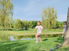 -安德鲁户外烧烤帐篷营地(马泉营店)