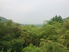 -法云安缦酒店