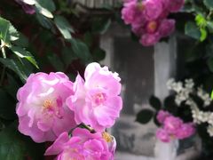 -北京石刻艺术博物馆(五塔寺)