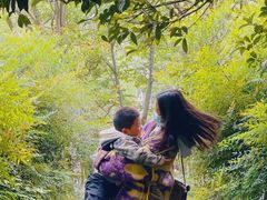 -堤角公园